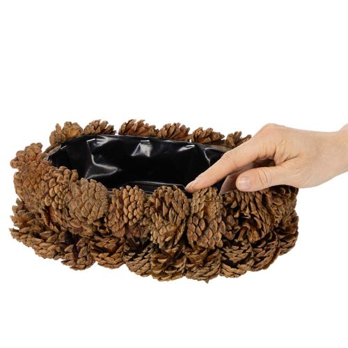 Oval tallkotteplanter, 30 cm | Floristik24.se