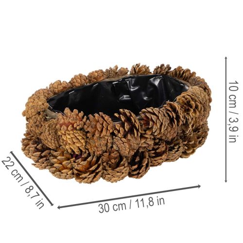 Oval tallkotteplanter, 30 cm