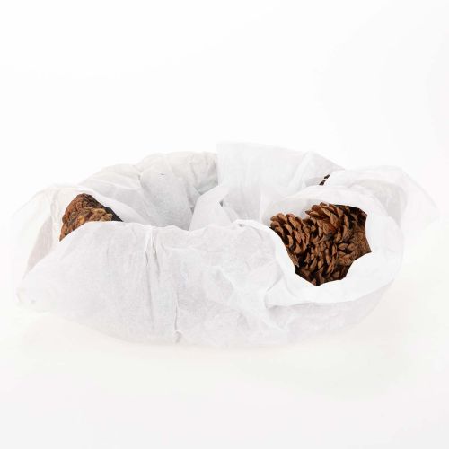 Oval tallkotteplanter, 30 cm