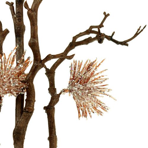 Floristik24 Witch hasselgren champagne 112cm