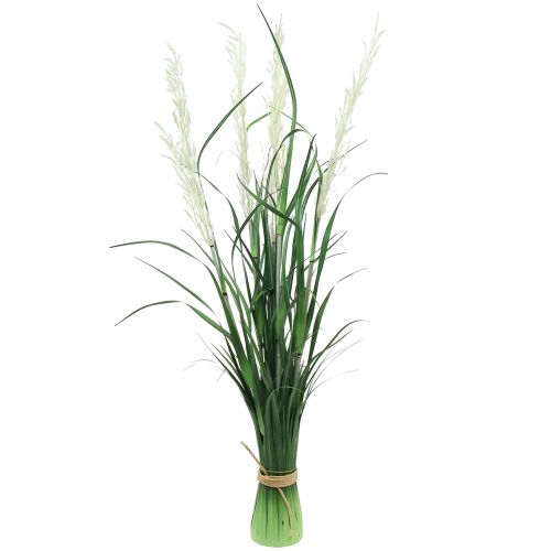 Prydgräs Pampasgräs med bladgrön / grädde H107cm