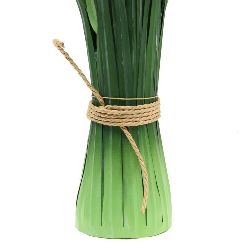 Floristik24 Prydgräs Pampasgräs med bladgrön / grädde H107cm