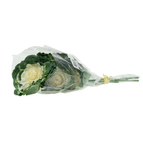 Floristik24 Konstgjord dekorativ kål vit, grön 25 cm 6st