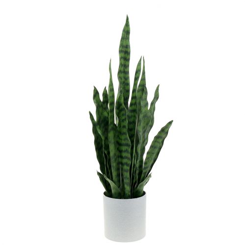 Floristik24 Sansevieria konstgjord i kruka H62cm