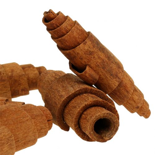 Floristik24 Kanel croissant dekoration 6,5cm - 7cm 30 st