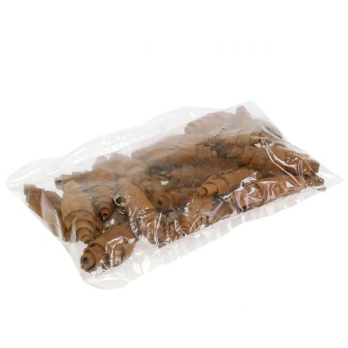 Floristik24 Kanel croissant dekoration 6,5cm - 7cm 30 st