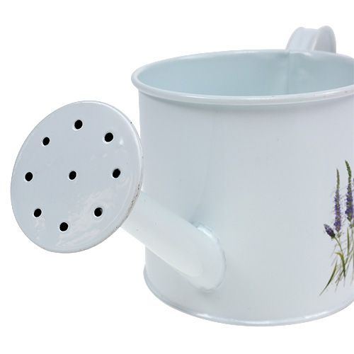 Floristik24 Zinkvattenburk Ø10,5 cm H10cm med lavendel