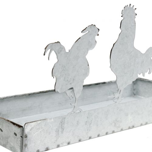 Floristik24 Zinkskål med kycklingar 30 cm x 12 cm H15,5 cm