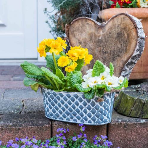 Floristik24 Zinkskål diamant med rephandtag oval 32 cm H15cm