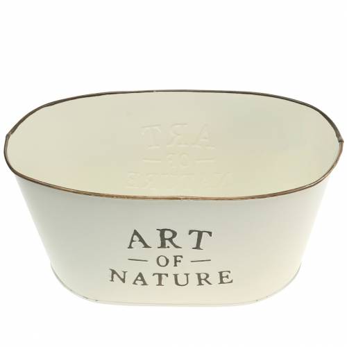 Artikel Blommaskål oval zink 27 × 18 cm H12,5cm Olika färger