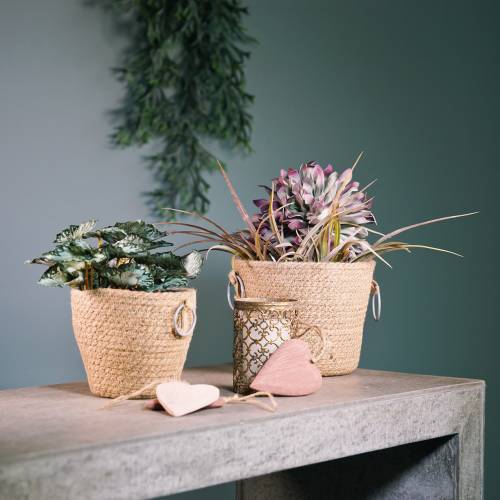 Floristik24 Zinkkruka med jutecachepott Ø18cm H15cm