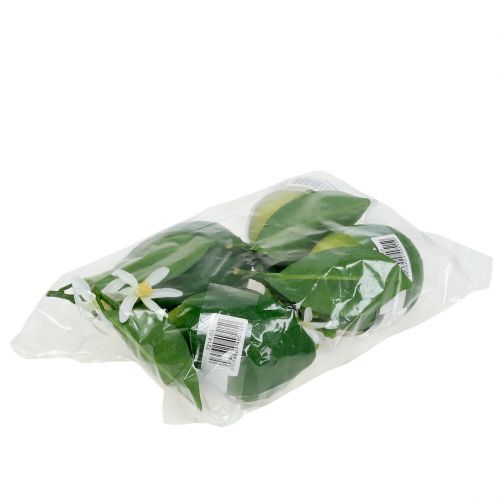 Floristik24 Citroner med blomma 9,5cm grön 4st