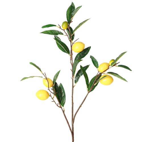 Floristik24 Konstgjord citrongren konstgjord citrongren 91cm 2st