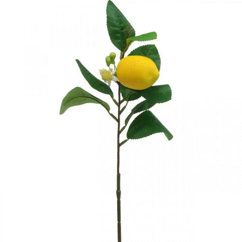 Floristik24 Deco gren citron konstgjord citron gren 42cm 3st