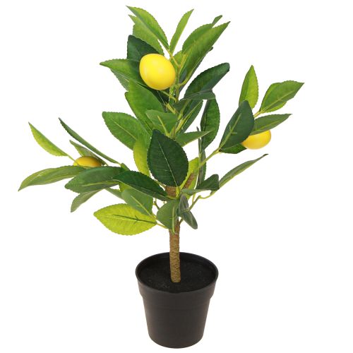 Floristik24 Citronträd konstgjord citronträd i kruka H40cm