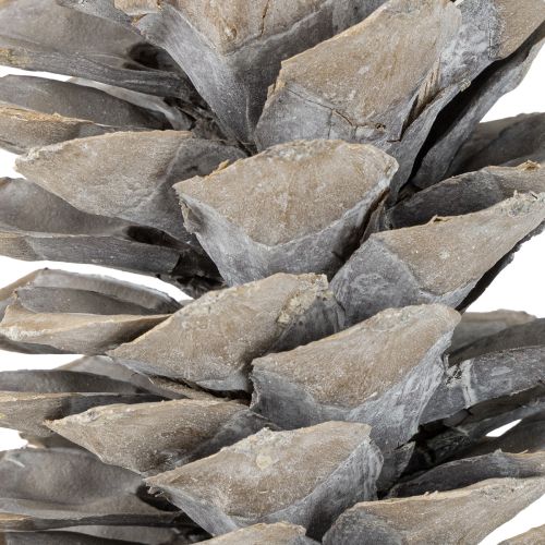 Artikel Sockerkottar vitkalkade 20cm - 30cm