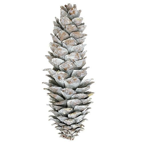 Sockerkottar, vitkalkade 20cm - 30cm