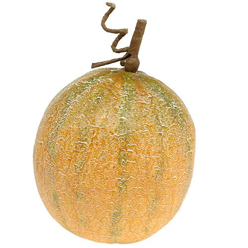 Floristik24 Dekorativ melon cantaloupe Ø14cm