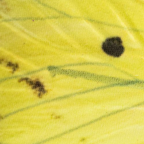 Artikel Fjärilsgren, konstnärlig vårdekoration för inomhusbruk, 75 cm