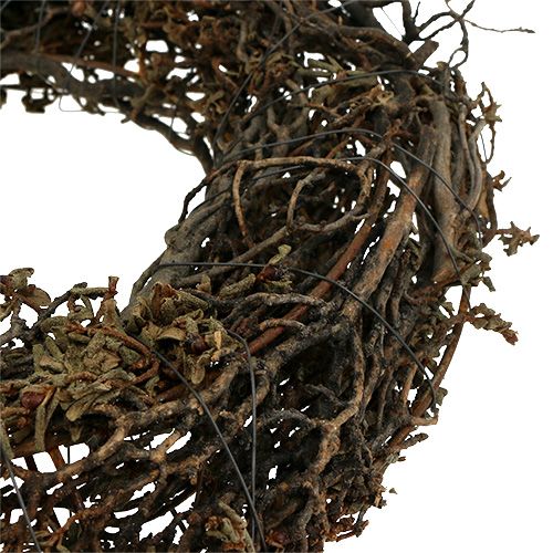 Floristik24 Grenkrans Ø25cm 2st. Natur