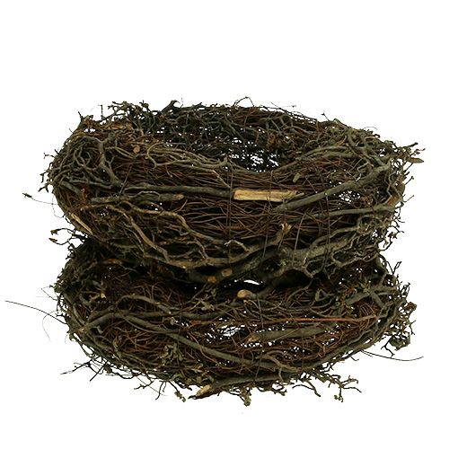 Floristik24 Grenkrans Ø25cm 2st. Natur
