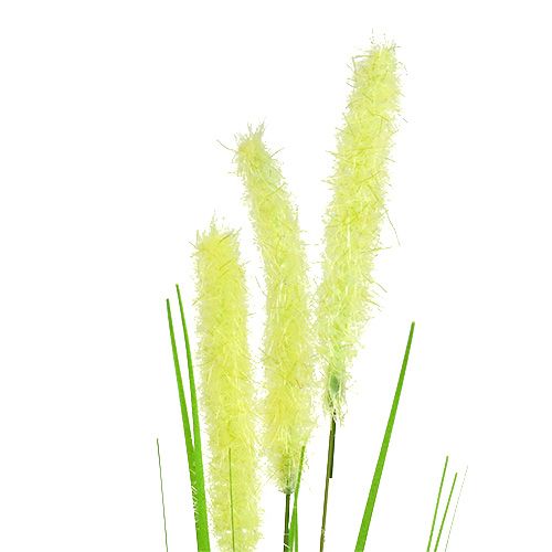 Floristik24 Lökgräs 68cm grön 6st
