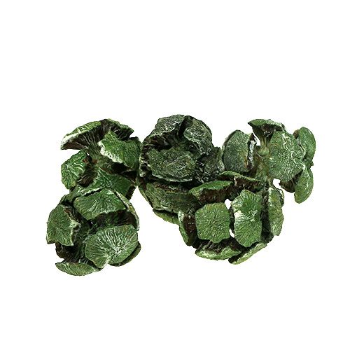 Cypresskottar 3cm grön 500g