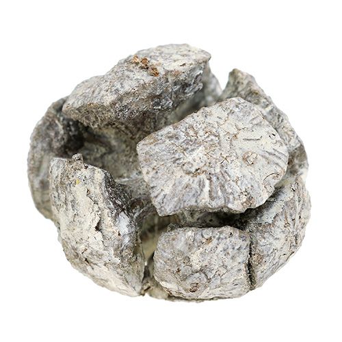 Artikel Cypresskottar 3cm vittvättade 500g