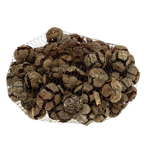 Artikel Cypress kottar natur 3cm 500g