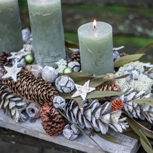 Artikel Cypress kottar frostad naturlig dekoration 3cm grön 500g