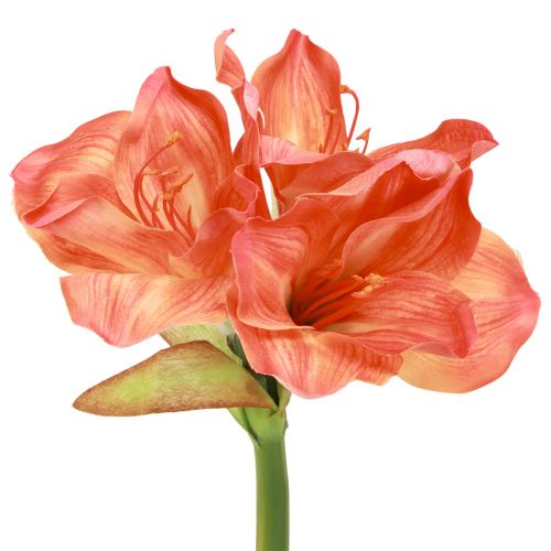 Artikel Amaryllis dekorativa blommor i orange konstgjord L55cm 2st