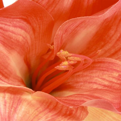 Artikel Amaryllis dekorativa blommor i orange konstgjord L55cm 2st