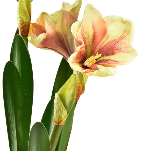 Artikel Amaryllis i en mosskula konstgjord med rosa-gula mönstrade blommor - 45 cm - Exotisk och stilren dekoration