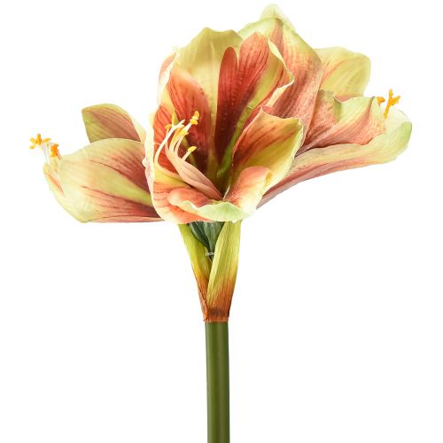 Artikel Konstgjord amaryllisblomma i rosa och gult - 66 cm - perfekt presentidé och snygg dekoration för interiörer