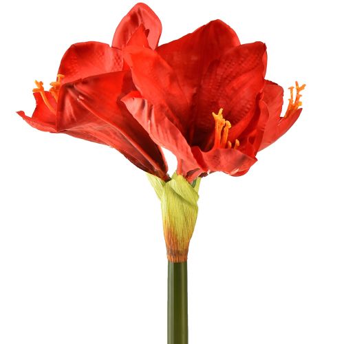 Artikel Konstgjord amaryllis i klarrött - eleganta blommor för lyxig rumsdekoration, 66 cm