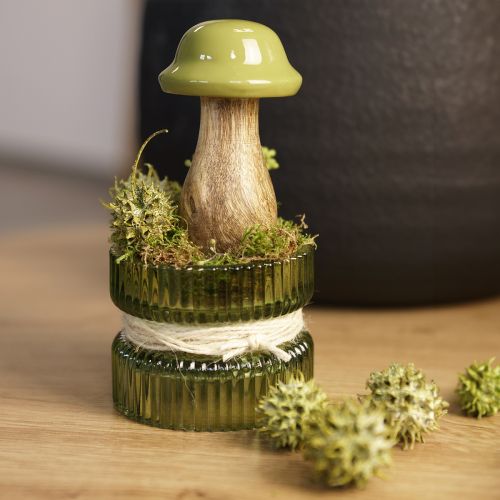 Artikel Sweetgum kottar grön frostad 250g