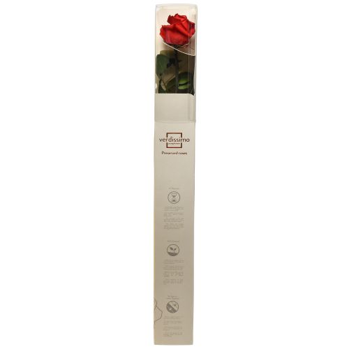 Artikel Infinity Rose med löv bevarade Amorosa Röd L54cm
