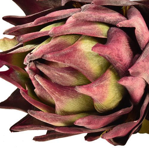 Artikel Konstgjord kronärtskocka Stor konstgjord blomma Torrlook Lila 76cm