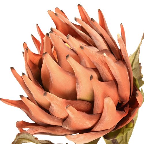 Artikel Kronärtskocka konstgjord blomma höst orange torr look Ø15cm 73cm