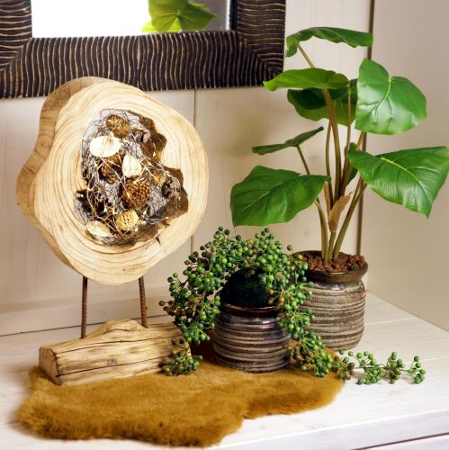 Floristik24 Rustik träring på stativ - Naturligt trä ådring, 54 cm - Unik skulptur för en stilfull boendemiljö