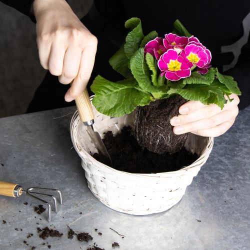 Artikel Flätad korgdekoration för mångsidig inredning, 20 cm, 8 stycken