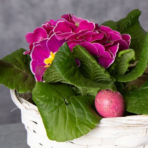 Artikel Flätad korgdekoration för mångsidig inredning, 20 cm, 8 stycken