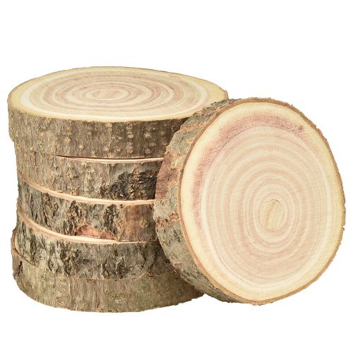 Artikel Trädskiva Paulownia blåklocka träd natur Ø12-14cm 6 st
