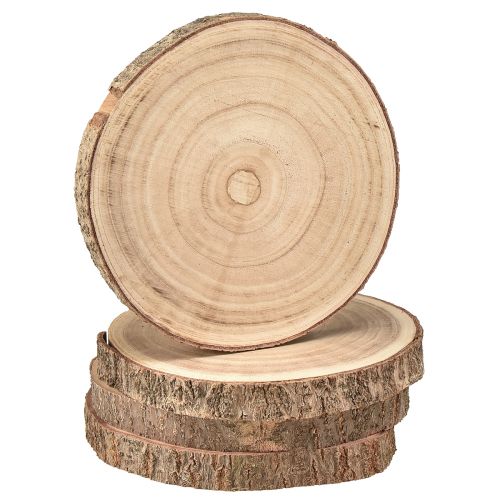 Floristik24 Trädskiva Paulownia trädekor natur Ø17-21cm 4 st