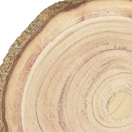 Floristik24 Trädskiva Paulownia trädekor natur Ø17-21cm 4 st