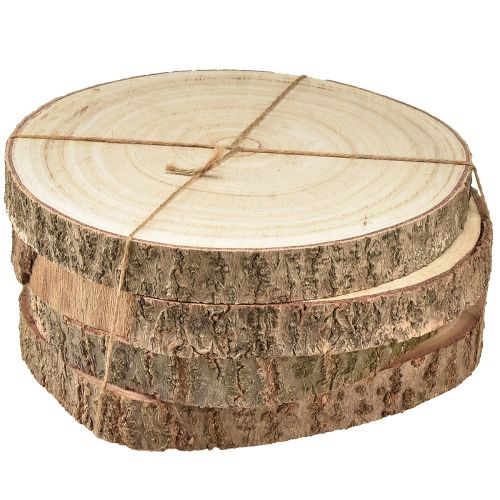 Floristik24 Trädskiva Paulownia trädekor natur Ø17-21cm 4 st
