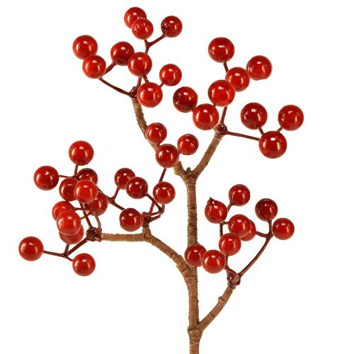 Floristik24 Ljusa röda bärgrenar – Idealisk för festliga dekorationer, 30 cm – Set om 6