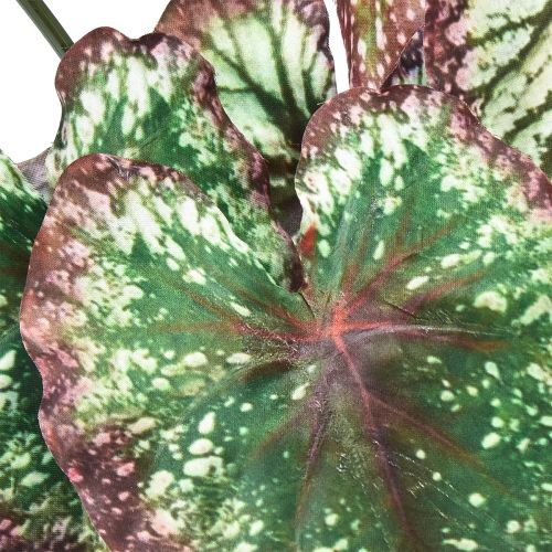Artikel Begonia Konstgjorda växter Blad Begonia Grön Lila 62cm