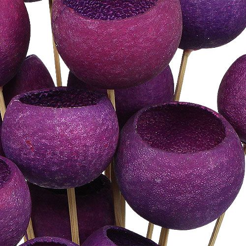 Floristik24 Bell Cup Mix på pinne Erika 15 st