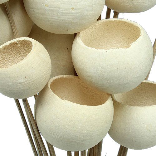 Floristik24 Bell Cup Mix på pinne blekt 15 st